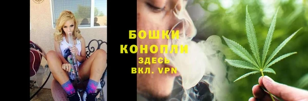 МДПВ Вязьма