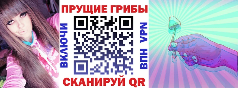 купить   Заволжск  Псилоцибиновые грибы Magic Shrooms 